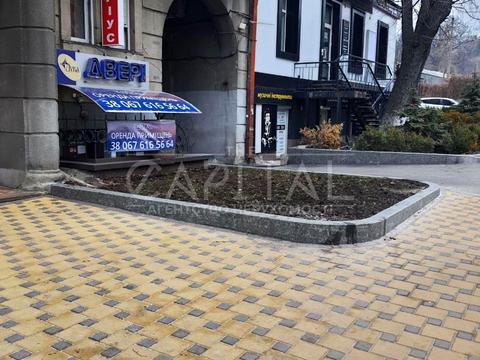 комерційна за адресою Гетьмана Павла Скоропадського вул. (Льва Толстого), 16