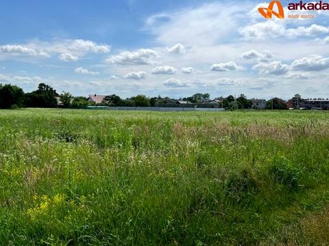 участок по адресу Олександра Довженка