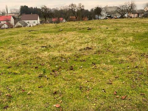 ділянка за адресою с. Велика Горожанна, Шевченка