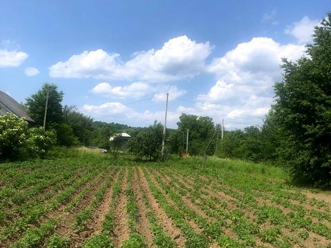 участок по адресу 