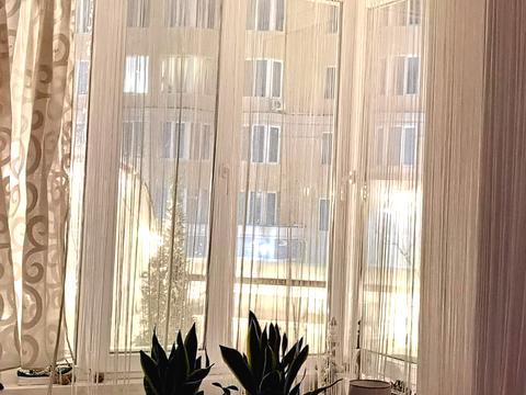 квартира по адресу с. Софиевская борщаговка, Зелена ул., 14