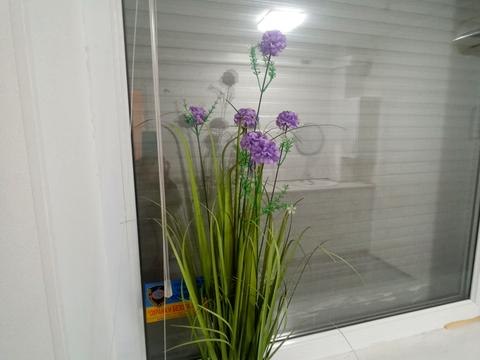 комерційна за адресою Соборності України вул. (Дружби Народів), 207