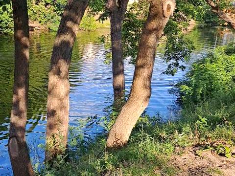 будинок за адресою Малоземельна