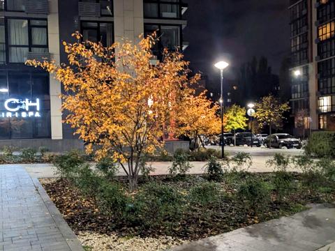 квартира за адресою Предславинська вул., 42