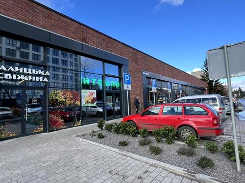 комерційна за адресою Павла Думанського вул., 14