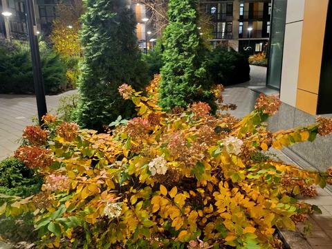 квартира за адресою Предславинська вул., 42