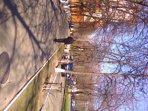 комерційна за адресою Голосіївський просп. (40-річчя Жовтня), 88