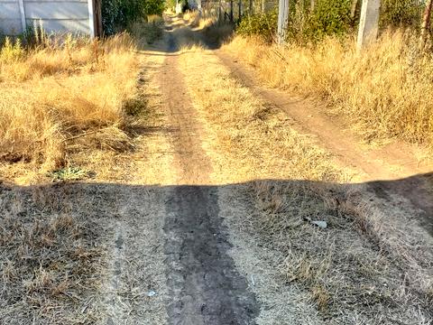 ділянка за адресою с. Молодіжне, СК Вишневий сад