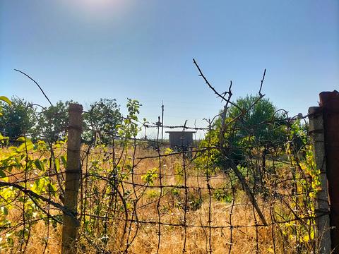 ділянка за адресою с. Молодіжне, СК Вишневий сад