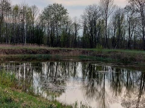 будинок за адресою Лісова