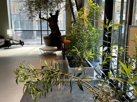 квартира за адресою Паньківська вул., 20/82