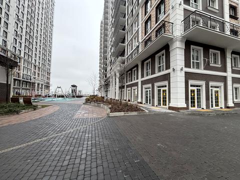 комерційна за адресою Михайла Максимовича вул. (Онуфрія Трутенка), 24-В