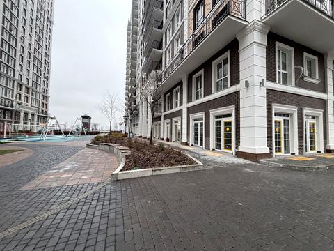 комерційна за адресою Михайла Максимовича вул. (Онуфрія Трутенка), 24-В