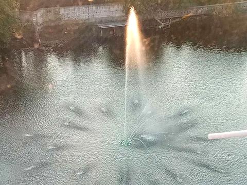 квартира за адресою Київ, Алімпія Галика вул., 75