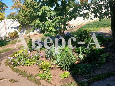 дом по адресу Школьная ул., 19