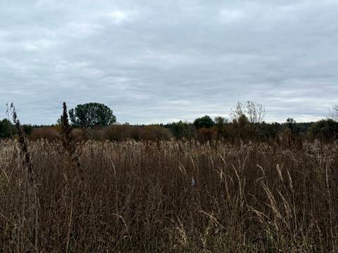 участок по адресу 