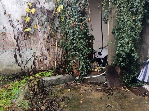 будинок за адресою Дача Ковалевського вул., 51