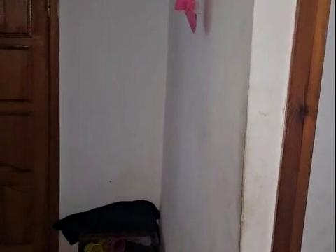 будинок за адресою Дача Ковалевського вул., 51