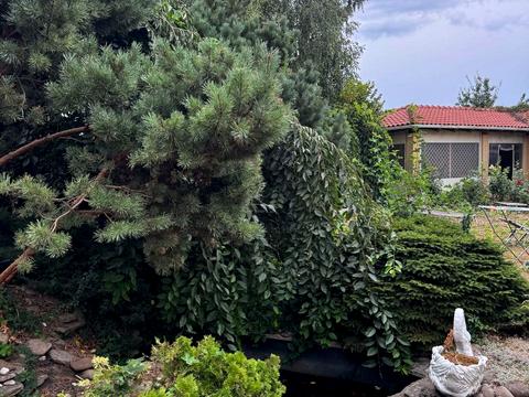 будинок за адресою Бориса Джонсона вул.