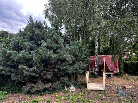 будинок за адресою Бориса Джонсона вул.