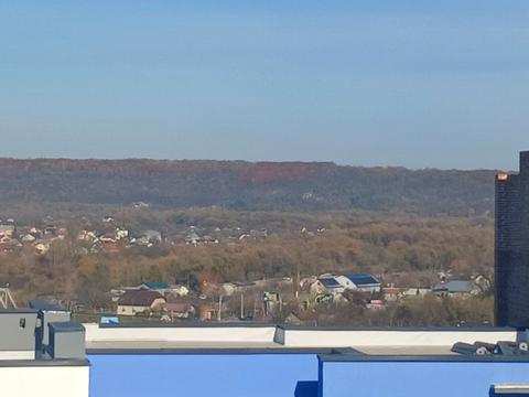 квартира по адресу Княгинин ул., 44/20