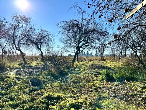 дом по адресу Мазурівка