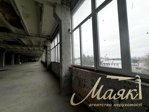 комерційна за адресою Лаврська вул. (Січневого Повстання), 14