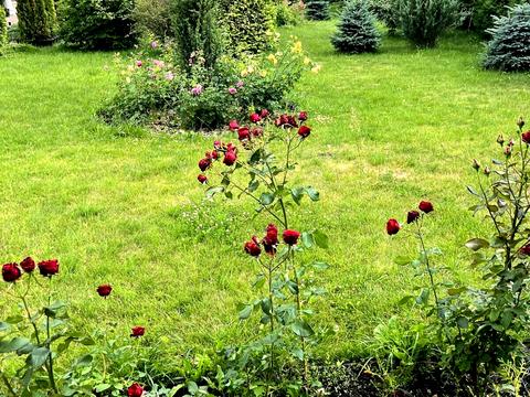 будинок за адресою Івана Кудрі вул., 55