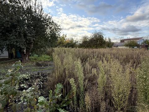 ділянка за адресою Івана Франка