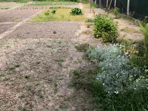 ділянка за адресою Івана Франка