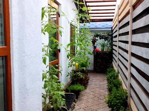 дом по адресу Ирпень, Лисенка, 13в