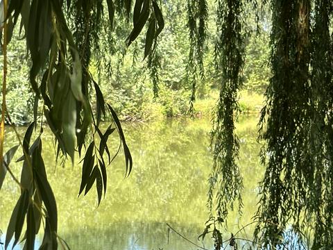 будинок за адресою Зоряна