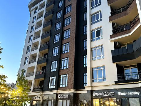 квартира по адресу Ольги Кобилянської ул. (Достоевского), 1-В/16