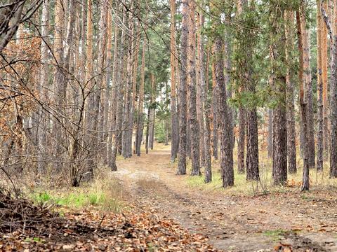 участок по адресу Львівська, 36
