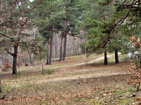 участок по адресу Львівська, 36