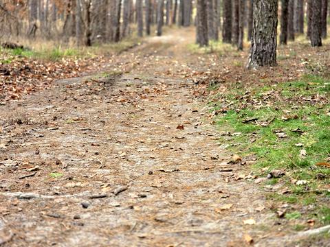 участок по адресу Львівська, 36