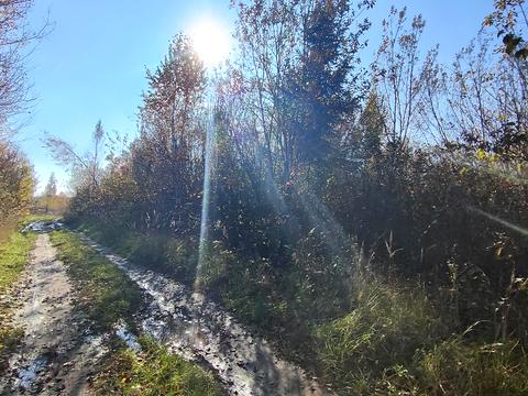 ділянка за адресою 