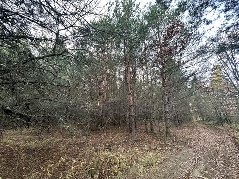 ділянка за адресою 