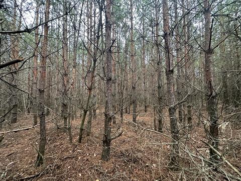 ділянка за адресою 