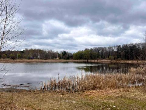 ділянка за адресою тарасова
