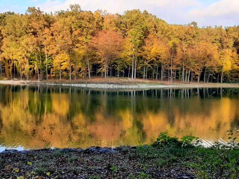 будинок за адресою Лісна, 1