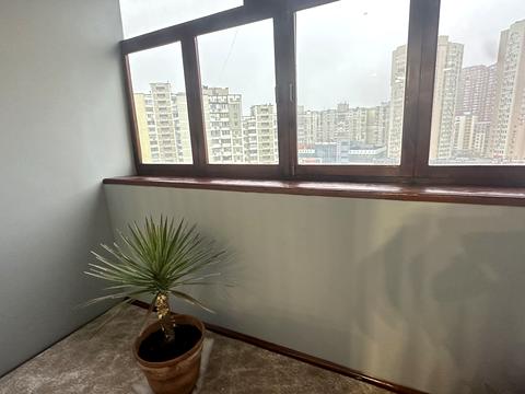 квартира за адресою Олександра Кошиця вул., 9