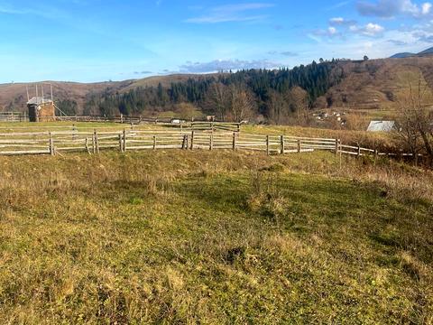 ділянка за адресою смт. Ясіня, 