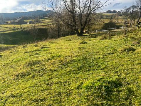 ділянка за адресою смт. Ясіня, 