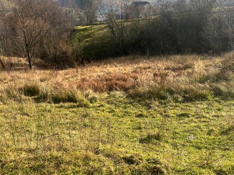 ділянка за адресою смт. Ясіня, 