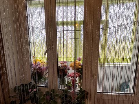 квартира по адресу Ильинская ул., 12