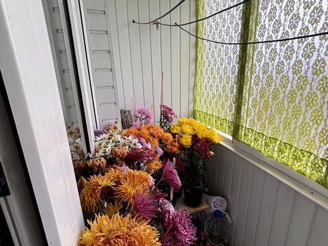 квартира по адресу Ильинская ул., 12