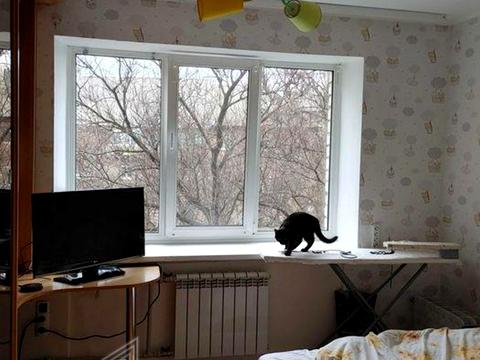 квартира по адресу Рэя Брэдбери ул., 5/15