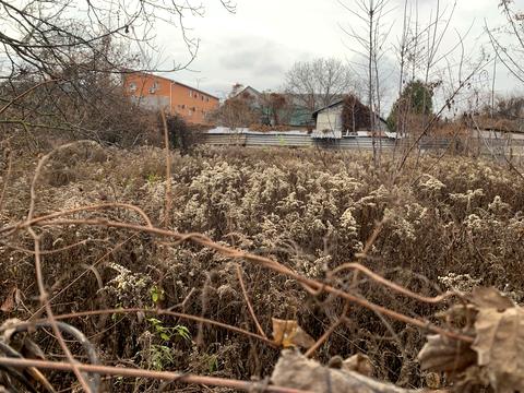 ділянка за адресою 2-га Синьоозерна вулиця