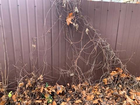 ділянка за адресою 2-га Синьоозерна вулиця